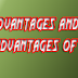 Advantages and Disadvantages of Law