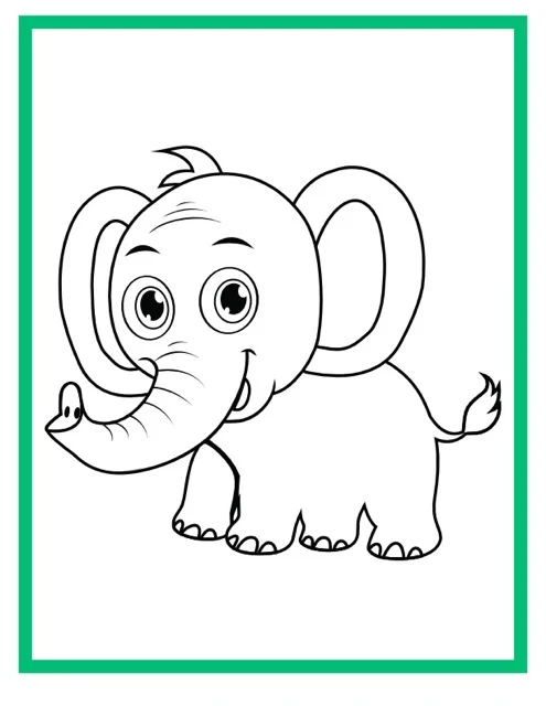 Color Cute Animals