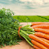 Carrot Vegetable Wallpaper