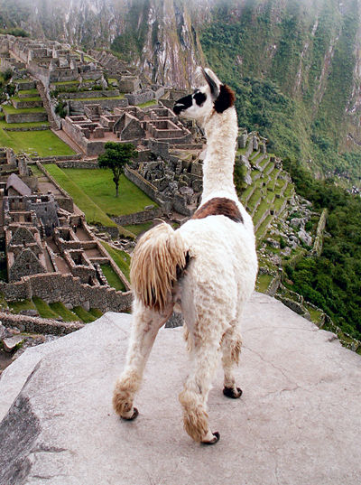 Machu Picchu History