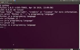 Python programming language