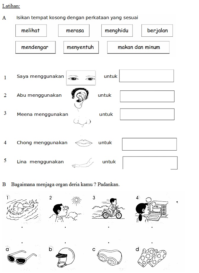 TAN HO YONG EL-BP03 D20112052791 DUNIA SAINS DAN TEKNOLOGI ...
