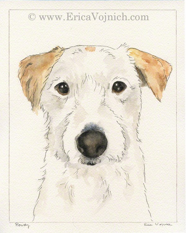 Jack Russell Terrier