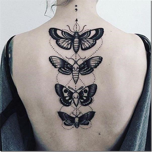la-metamorfosis-de-la-mariposa la-metamorfosis-de-la-mariposa