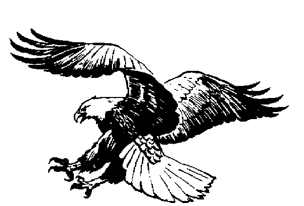 Eagle Clipart Gallery. Eagle Clipart Gallery