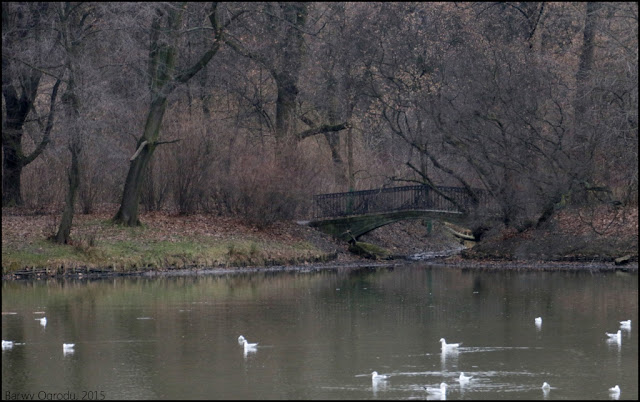 park skaryszewski