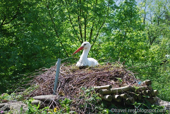 TierPark