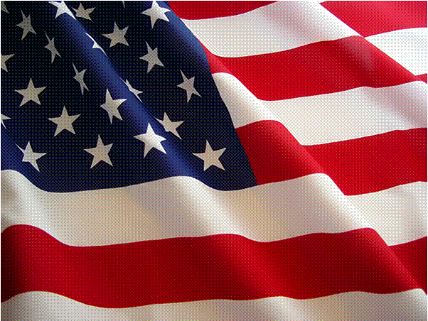 Moleskinex19: American Flag Background