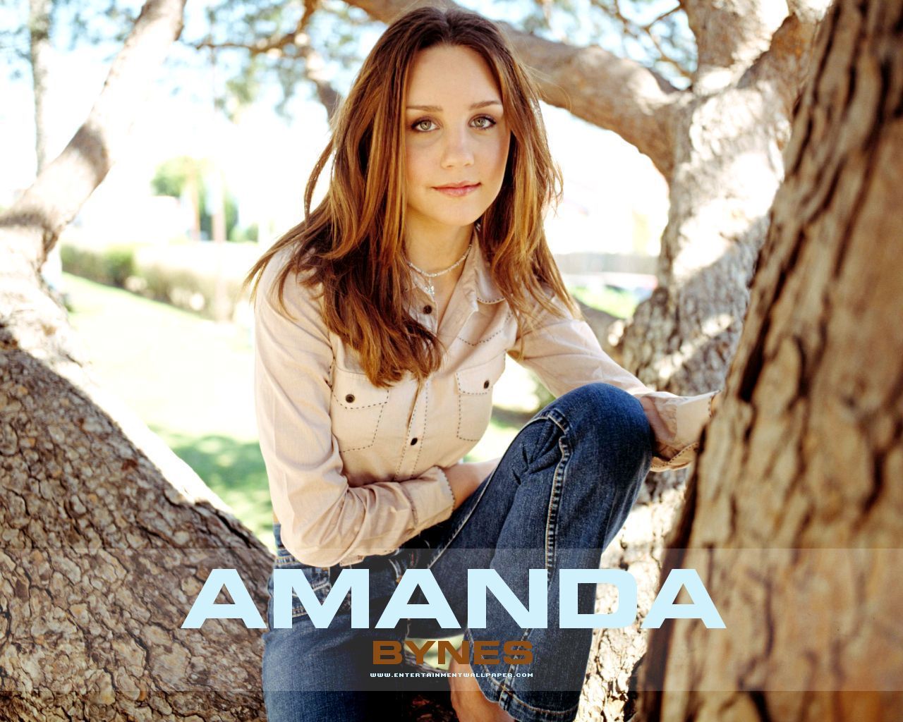 Amanda Bynes Wallpapers « Free Software and PC Games