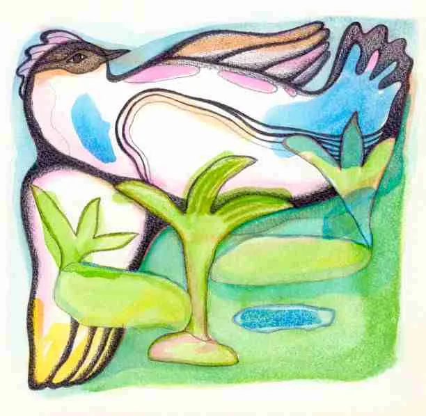 Illustration by Marie Bertrand
