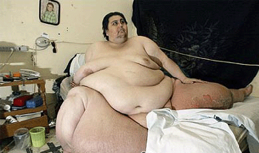gordo