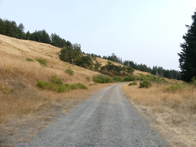 road along prairie