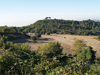 Camps del Soler de Bertí