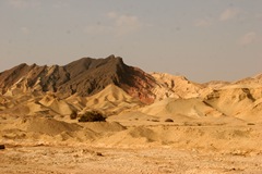 IMG_1530