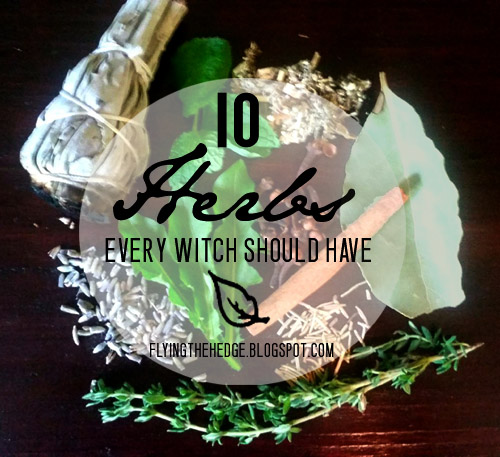 10 Herbs Every Witch Should Have