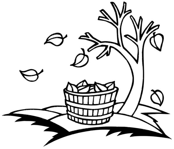 Autumn Leaves Coloring Pages2