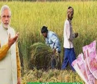 पीएम किसान योजना: अगर आप अगली क़िस्त के 2 हजार रुपए पाना चाहते हैं तो सुधार ले ये गलतियाँ