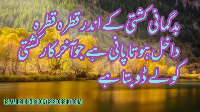 Bad Gumane Kashte Kay Ander Qatra Qatra Dakhel Hota Pane Hy 