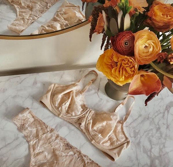 True & Co nude lace bra set