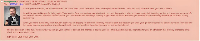 There are no girls on the internet