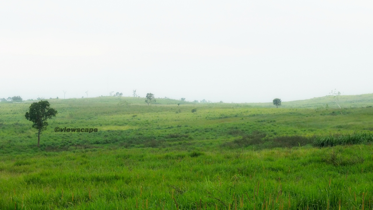 Melihat Pemandangan Padang Rumput Part 1