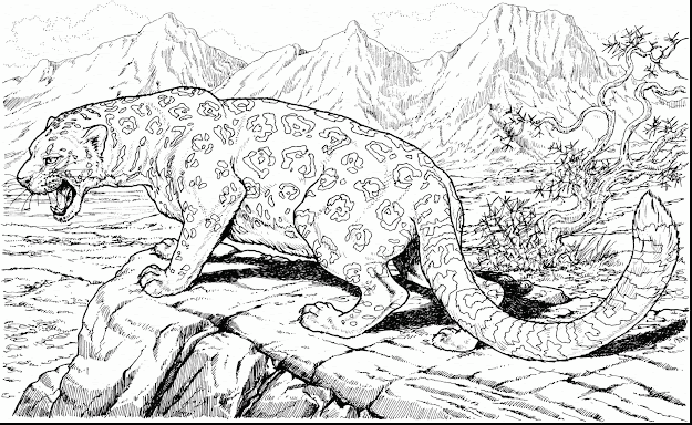 Beautiful Hard Adult Coloring Pages Animals With Challenging Coloring Pages  And Challenging Coloring Pages For Adults