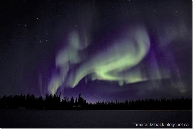 lights2 (3)