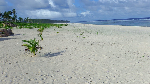 part of the stretch of white sand at Jagnaya Yolanda Beach in Salcedo Eastern Samar