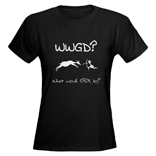WWGD? What would Grok do? Paleo, primal, ancestral, caveman t-shirt.
