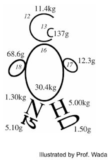 Isotope man illustrated by Professor Eitaro Wada