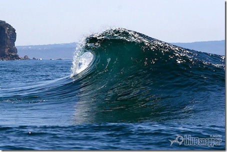 Northern Beachs. Foto: Alex Marks