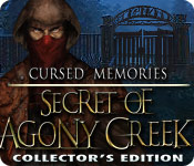 Cursed Memories: The Secret of Agony Creek Collector's Edition picture