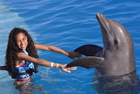 Niños podrán nadar y jugar con Delfines en Dolphin Discovery