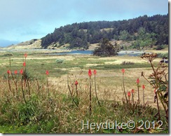 Cape Blanco State Park 