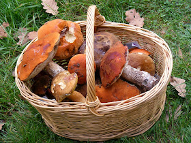 A basket of boletes gathered in the forest.  Indre et Loire, France. Photographed by Susan Walter. Tour the Loire Valley with a classic car and a private guide.