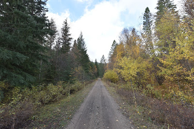 The Great Trail fall colours Summerland BC.