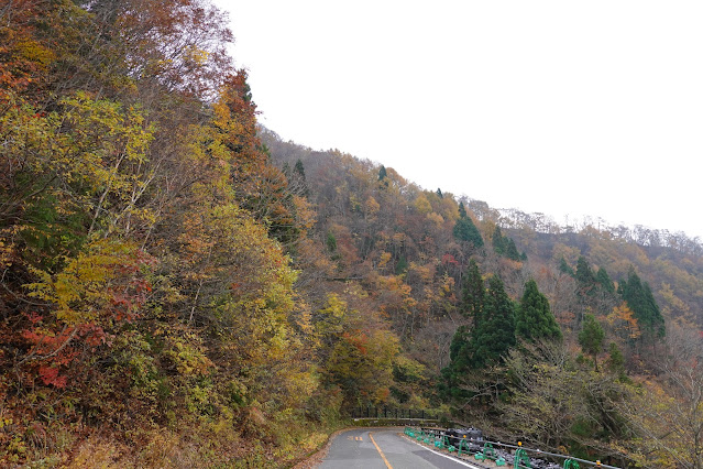 鳥取県道45号倉吉江府溝口線（大山環状道路）