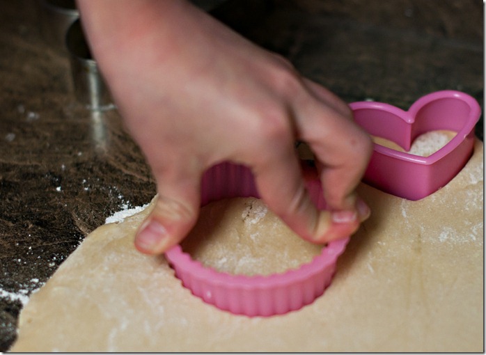 Sugar Cookies-4e