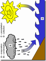 cwatercycle1