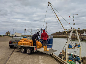 Photo of Silver Stream landing its catch of whelks at Maryport Harbour