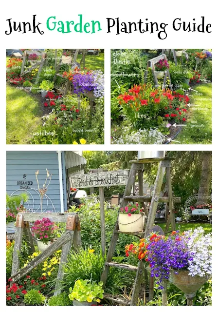 My Late June Flower Junk Garden Border With Planting Guide #junkgarden #flowergardening #annuals #perennials #plantingguide #flowerborder #gardendecor #farmhousegarden