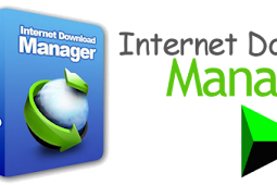 Internet Download Manager V6.28  [Español + Crack]