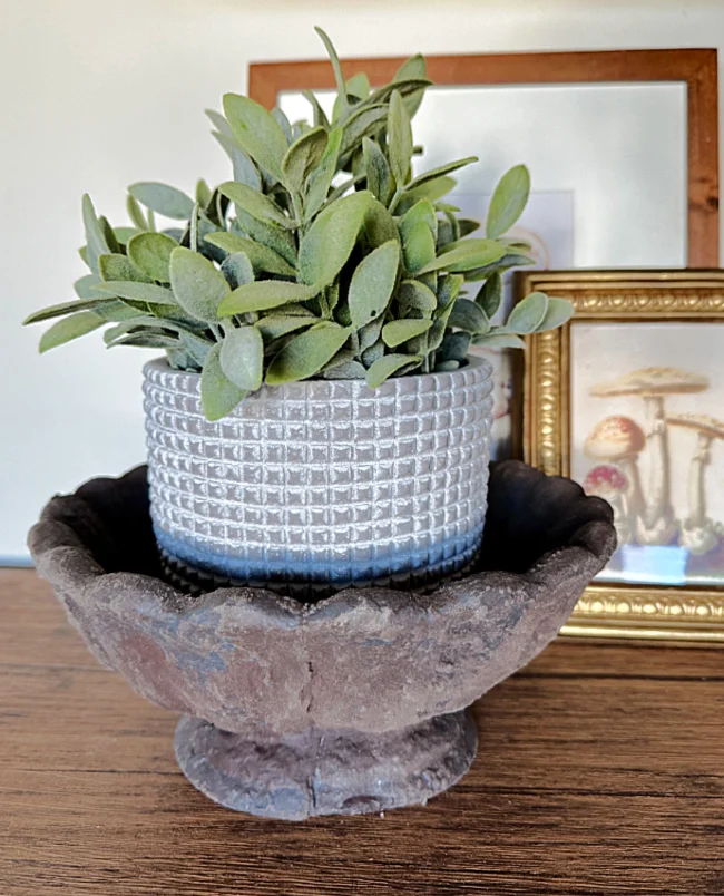 old bowl with planter and frames