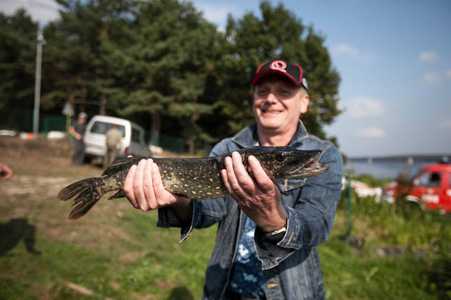 Świat na głowie w Sulejowie