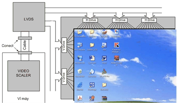 Mạch LVDS gắn liền với màn hình, từ máy kết nối đến mạch LVDS thông qua cáp tín hiệu và các rắc cắm Connect