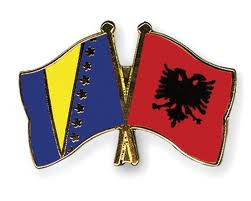 prediksi bosnia vs albania