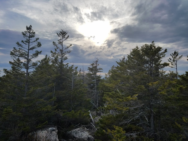 bushwhack, cone mountain, Dickey Mountain, Fischer Mountain, grand traverse, Millbrook Road, mount tecumseh, rock slabs, sandwich range, Thornton, Welch Mountain, Welch-Dickey Loop, 