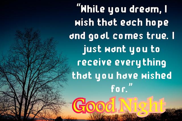 Good night quotes in English with images