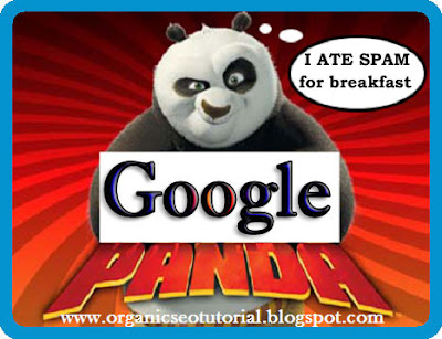 organic seo tutorial google panda algorithm