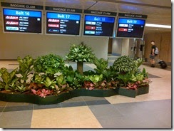 Changi Airport, Singapore